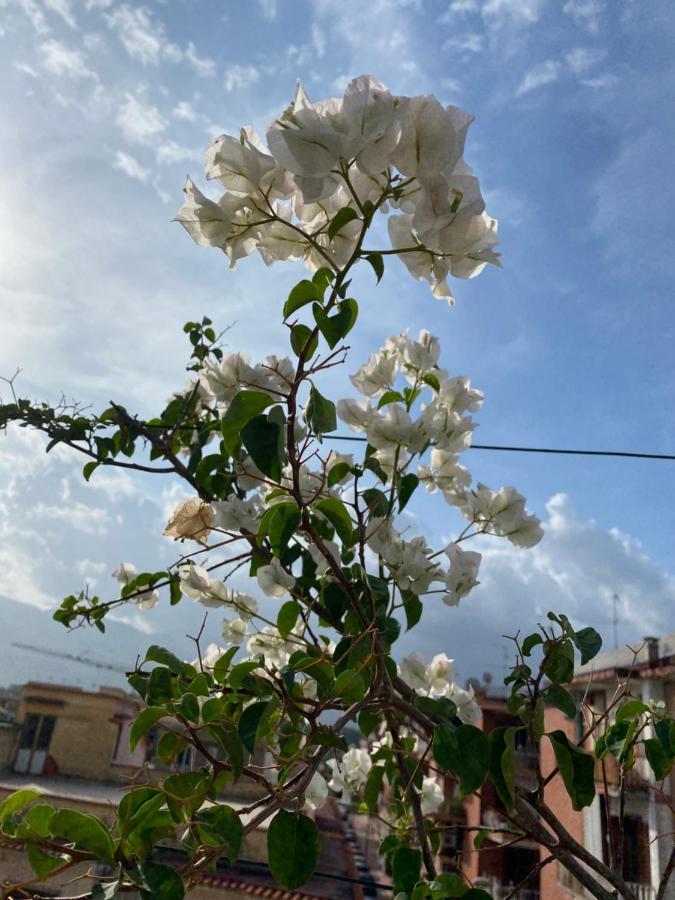 Pompei Terafi Home Zewnętrze zdjęcie